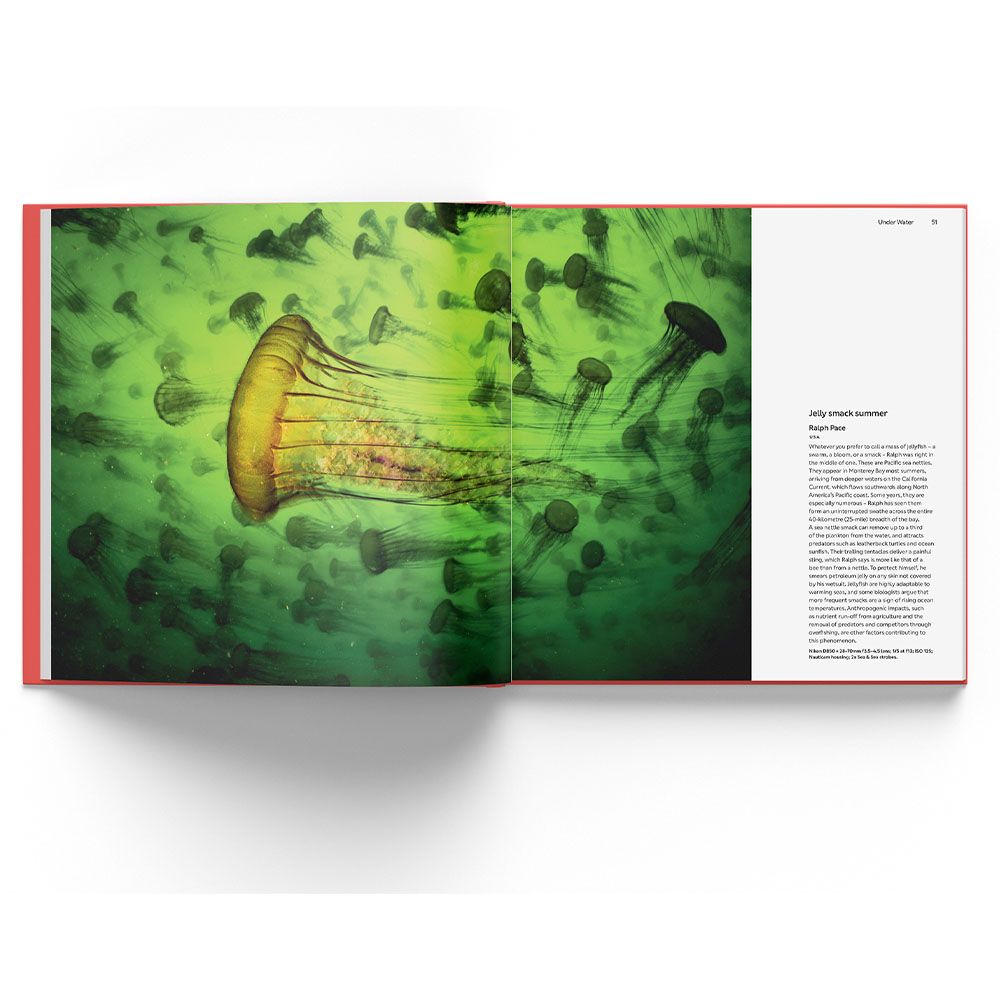 Wildlife Photographer of the Year Folio 35 (2025) - Image 4