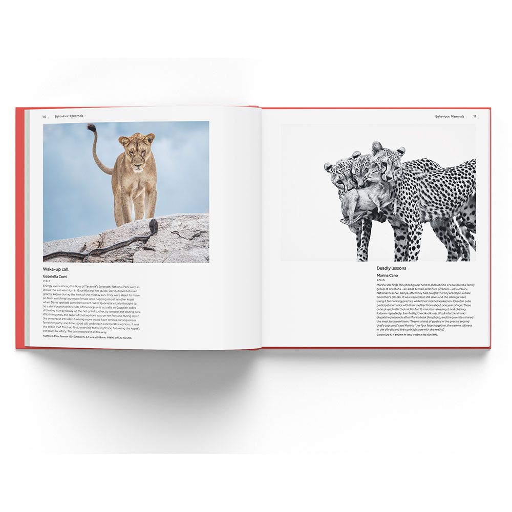 Wildlife Photographer of the Year Folio 35 (2025) - Image 3